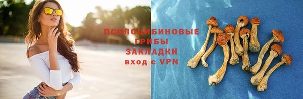 гидра Заволжье