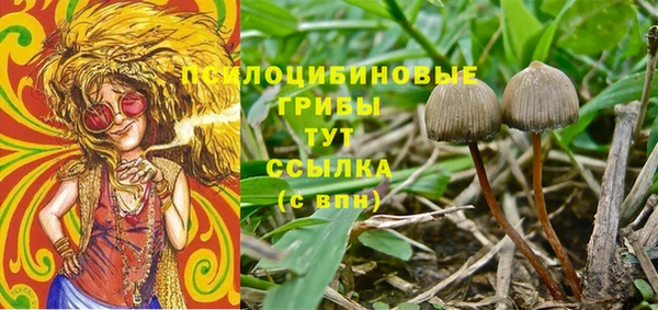 ешки Заволжск