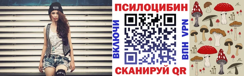 Купить закладки  Курчатов  Псилоцибиновые грибы прущие грибы 